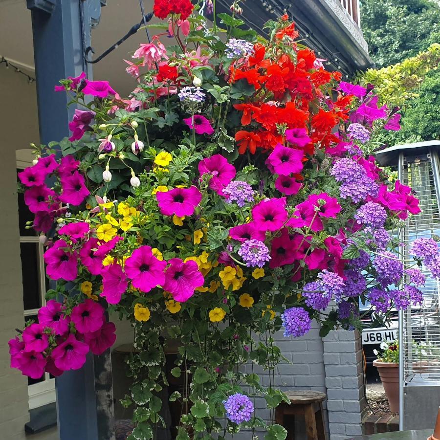 The Plough Itchen Abbas Hotel Winchester Bagian luar foto